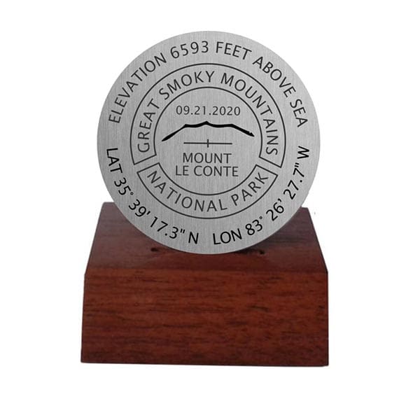 A silver medal sitting on top of a wooden stand.