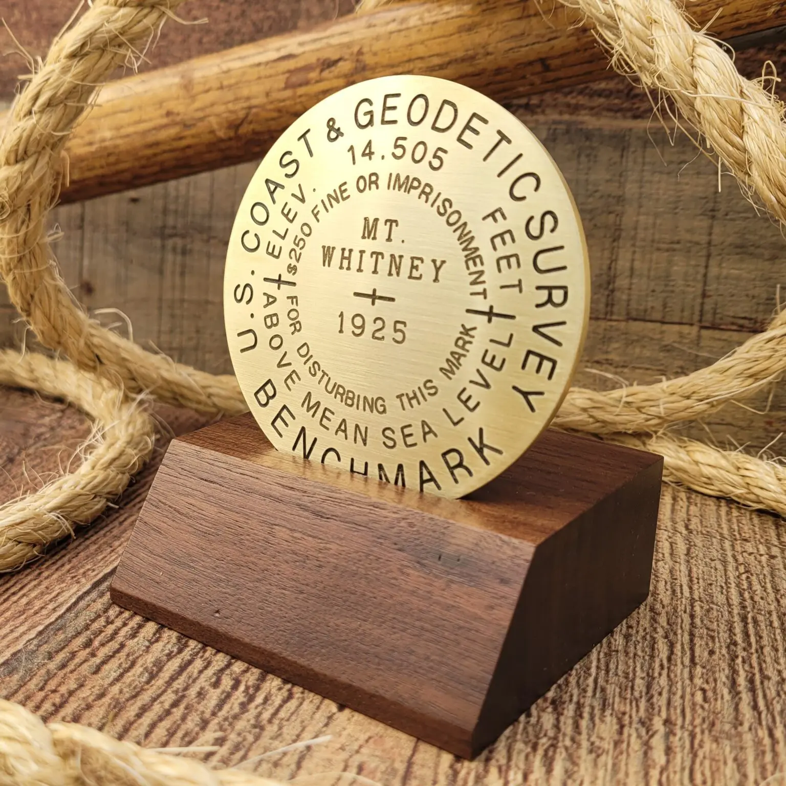 A brass based award with wooden base